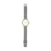 Skagen Kuppel Lille Women's Watch SKW3101 Silver
