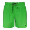 Puma Mens Logo Swim Shorts