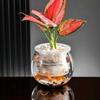 Multi-functional Transparent Hydroponic Vase Plastic Mini Fish Tank Decorative Flower Pot Office