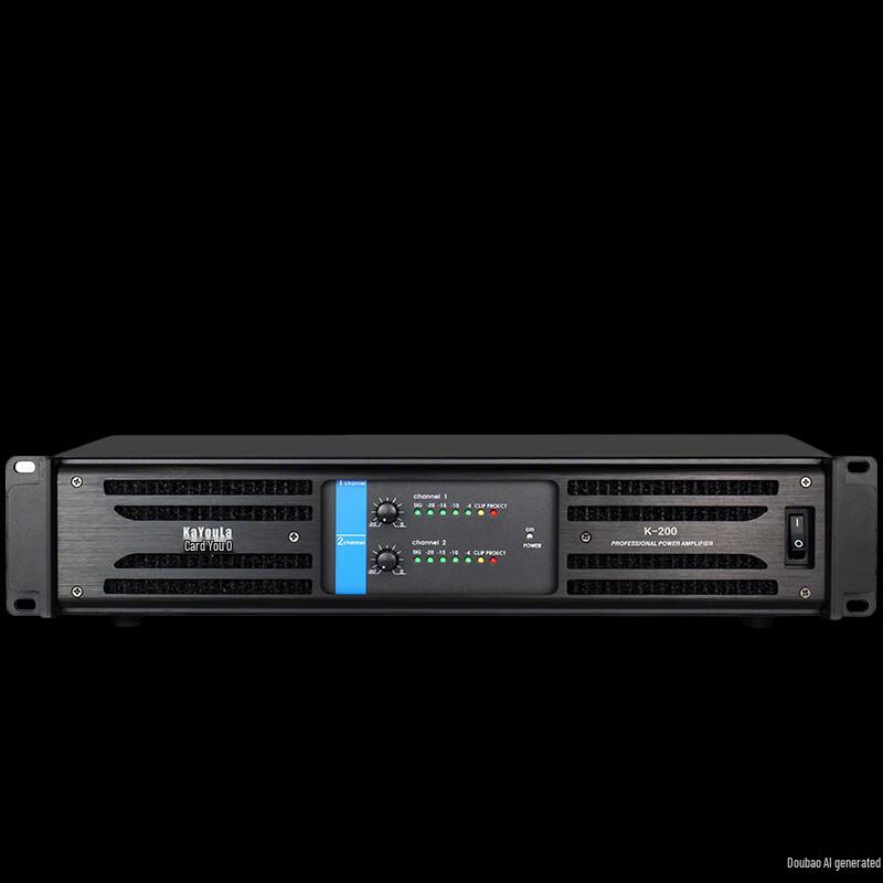 Professional 2-Channel Power Amplifier