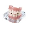 New Denture Silicone Kit - Soft Kit Teeth Upper And Lower Set - Silicone Liners Soft Denture Kit - Easy Use