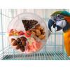 Bird Foraging Toy Transparent Interactive Feeding Wheel for Large Parrots Cockatiels Cage Decoration