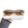 European Retro Cat Eye UV Protection Sunglasses - Trendy 2025 Fashionable Plain Face Design