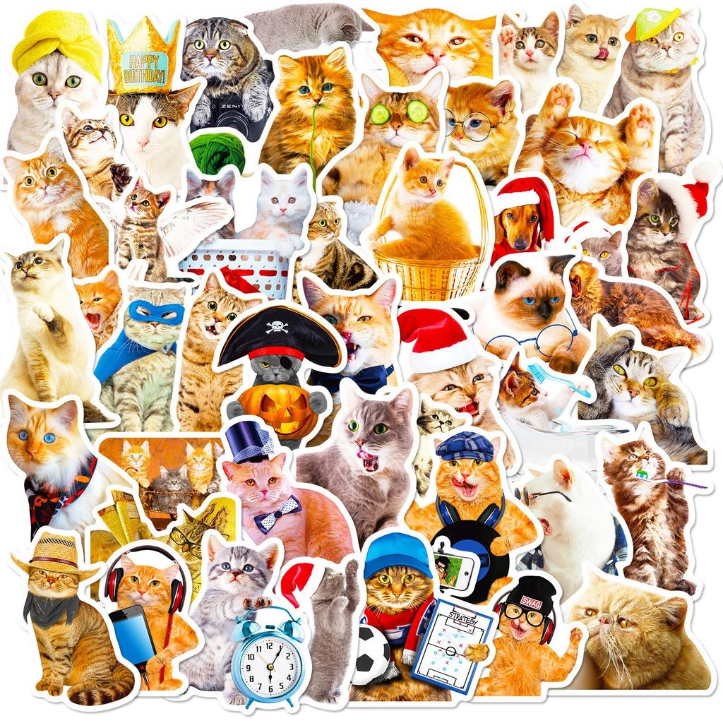 50 Realistic Cat Stickers New Cute Cat Cartoon Graffiti Stickers Notebooks Palette Box Stickers