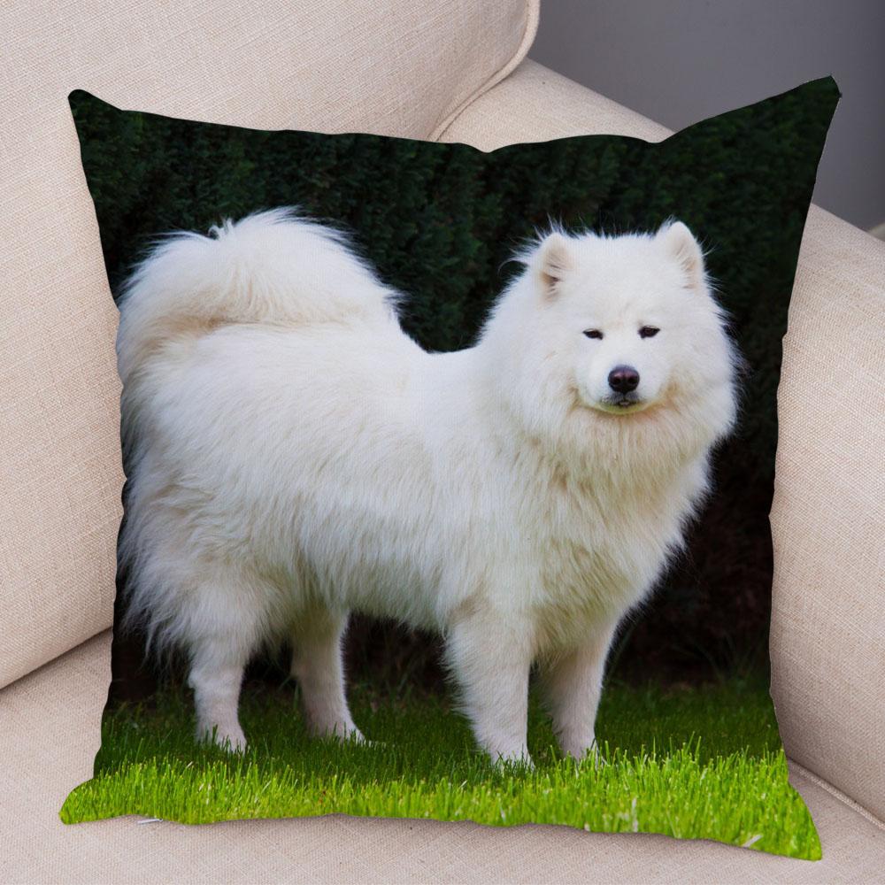 50 Stil Husă de Pernă Câine Alb Drăguț Samoyed Decor Husă de Pernă Animal de Companie Iubitor Husă de Pernă Moale de Pluș pentru Canapé Cameră Copii