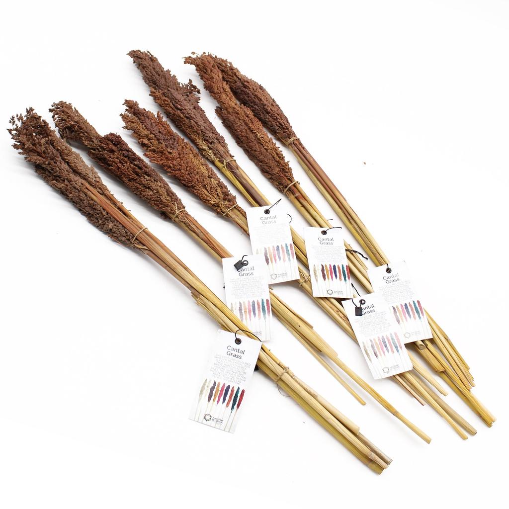 Cantal Grass Bunch Chocolate - Set of 6