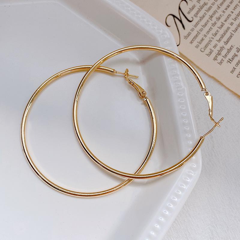 Exaggerated Hoop Earrings - European & American Cold Style, 925 Silver Needle, All-Match Metal Ear Jewelry for Women