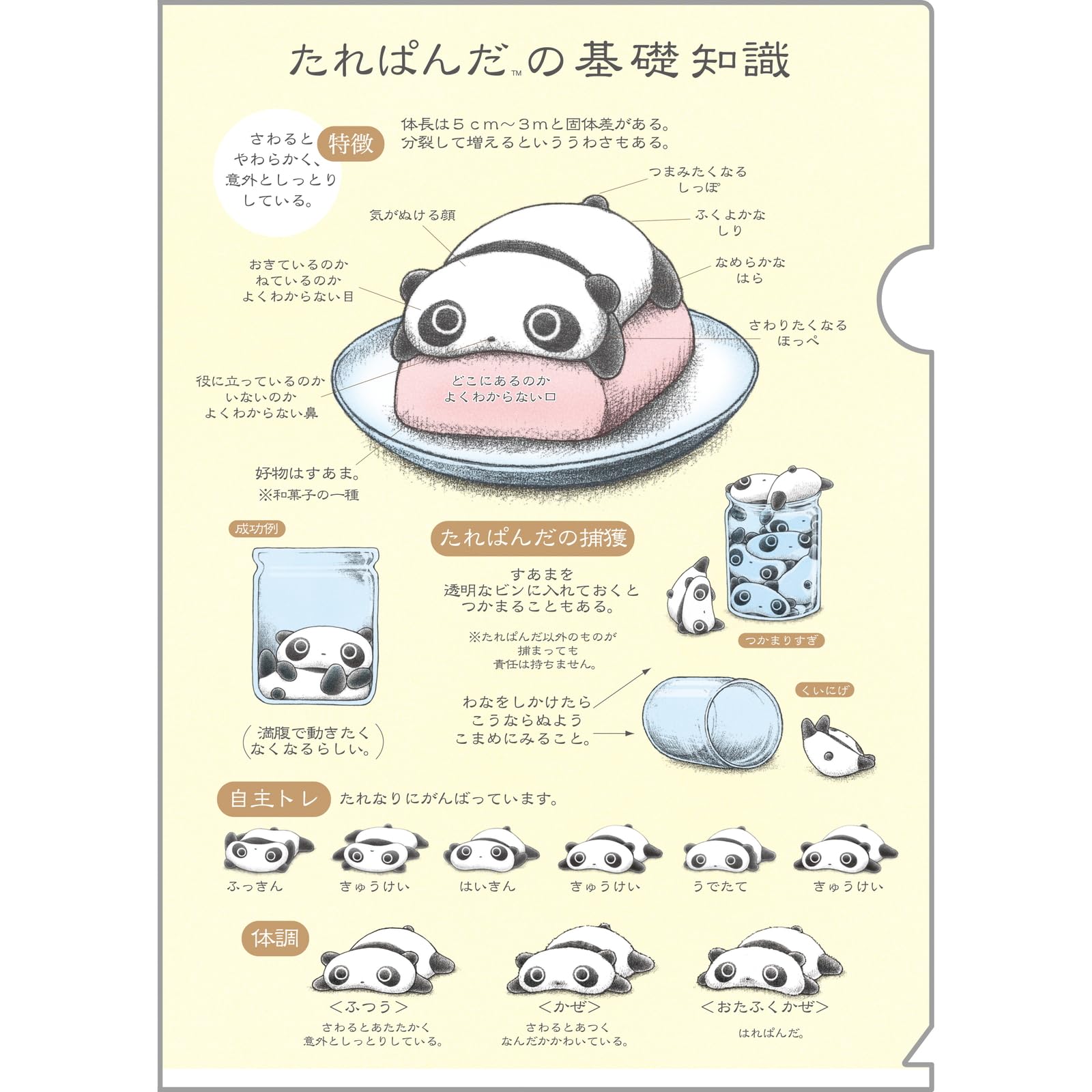 San-X Tarepanda Clear Folder Set FA13101 H310 W220 D1mm