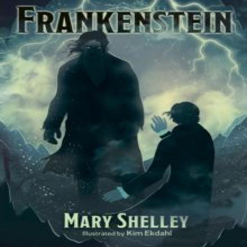 Frankenstein by Mary Shelley Hardback Book 9781398839137