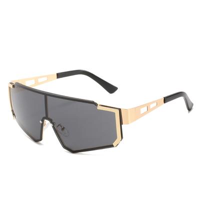 Occhiali da Sole Metallici Punk Monopezzo, Passerella Personalizzata, Occhiali da Sole Monopezzo con Montatura Grande, Donna, Occhiali
