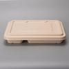 Degradable 4-Compartment Sugarcane Pulp Takeout Boxes