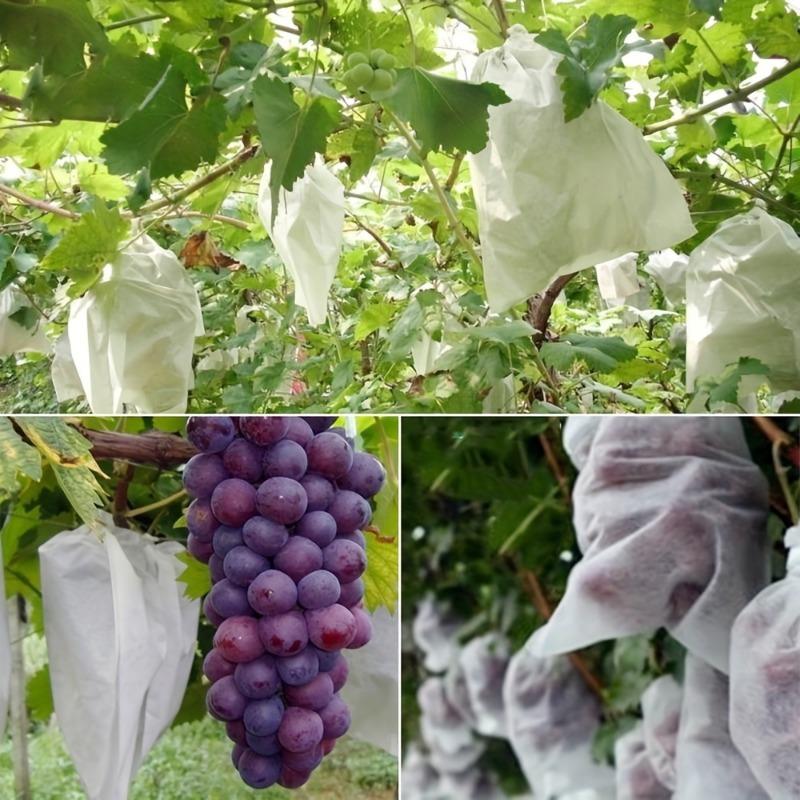 200pcs White Mesh Fruit Protection Bags Non-Woven Bird-proof Insect-proof for Vineyard Breathable Fruit Net Bags with Drawstring