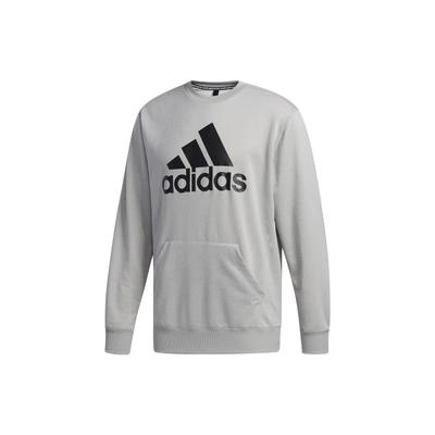 Sweatshirts Men's Gray Crew Neck Moderate Regular FM5343