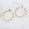 Fashionable Real Gold Electroplated Circle Earrings for Women's Simple Twisted Earrings Temperament High-end and Versatile Earrings