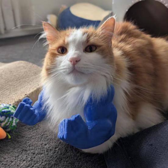 Cat Muscle Arm Costume Funny Cat Neck Arm with Muscle 3D Printed Cat Arm Prop for Parties Photos Entertainment