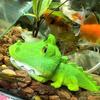 Easy to Use Multi-Functional Aquarium Air Bubbler Resin Green 1 Pc