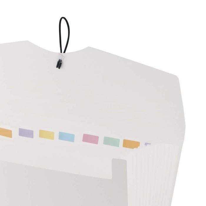 Chemise À Compartiments - LEVIATAN - 5580 - 12 Compartiments - A4 - Fermeture Élastique