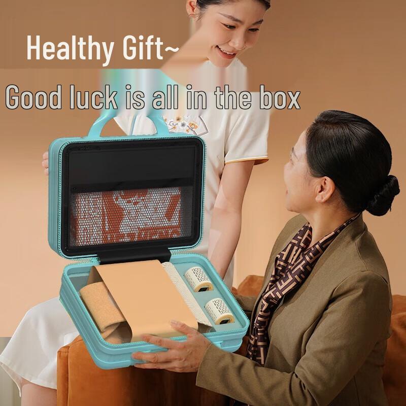 Hezheng Bi-directional Vibrating Waist Massager