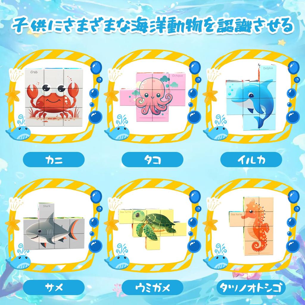 AOMACO Magnetic Block 3D Puzzle, 6 Themes, 6-Sided Puzzle, Nine Palace Pattern, Magnetic Blocks, 9-Piece Set, Educational Toy, 3D Puzzle, Magnetic