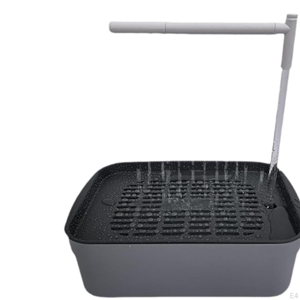 Automatic Bird Bath Tub Shower with Running Water for African Grey