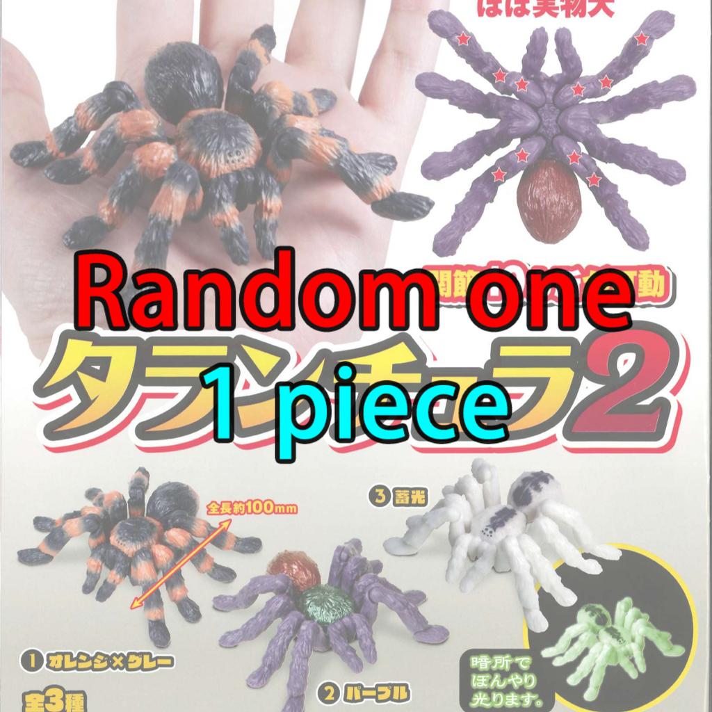 Gashapon Model Toy Simulated Spider Tarantula Gachapon Capsule Doll Model Assembled Joints Figures Collectible Ornaments Gifts