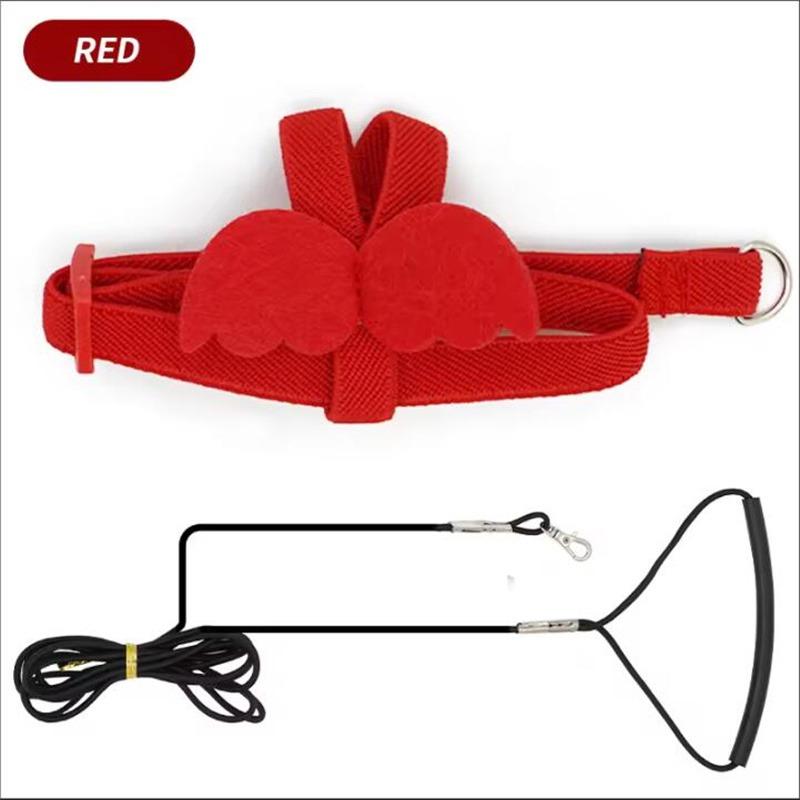 Parrot Training Harness Leash Set Anti-Bite Outdoor Flying Rope For Cockatiels Small Birds Supplies 
