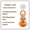 Long-lasting Car Pendant Air Freshener - Premium Fragrance Essential Oil for Interiors