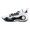 Li Ning Wade Way 10 Low Panda Edition Comfortable Versatile Non-Slip Durable Support Low-Top Basketball Shoes Men Sneaker White Black ABAS083-28