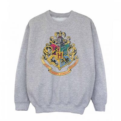 Överdelar (Pojkar från 4 år) – Luvtröjor, tröjor och sweatshirts