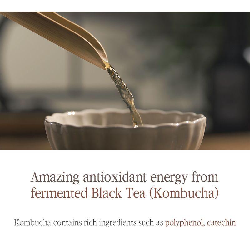 Pyunkang Yul Black Tea Deep Infusion Toner 130ml