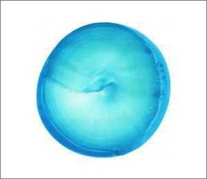 

[USED] (CD) Kuchuu Best of Fishmans/Fishmans