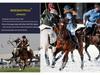 Paul Herren Polo-Pullover aus Kabelstrickwolle und Baumwolle mit halbem Reißverschluss, halbem Stehkragen, kleinem Pferde-Logo, Langarm