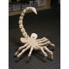 Obiecte de colecție și modele – Figurine