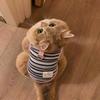 Striped Dog Vest with D-ring, Cute Embroidery Sleeveless Pet Shirt for Small Dogs