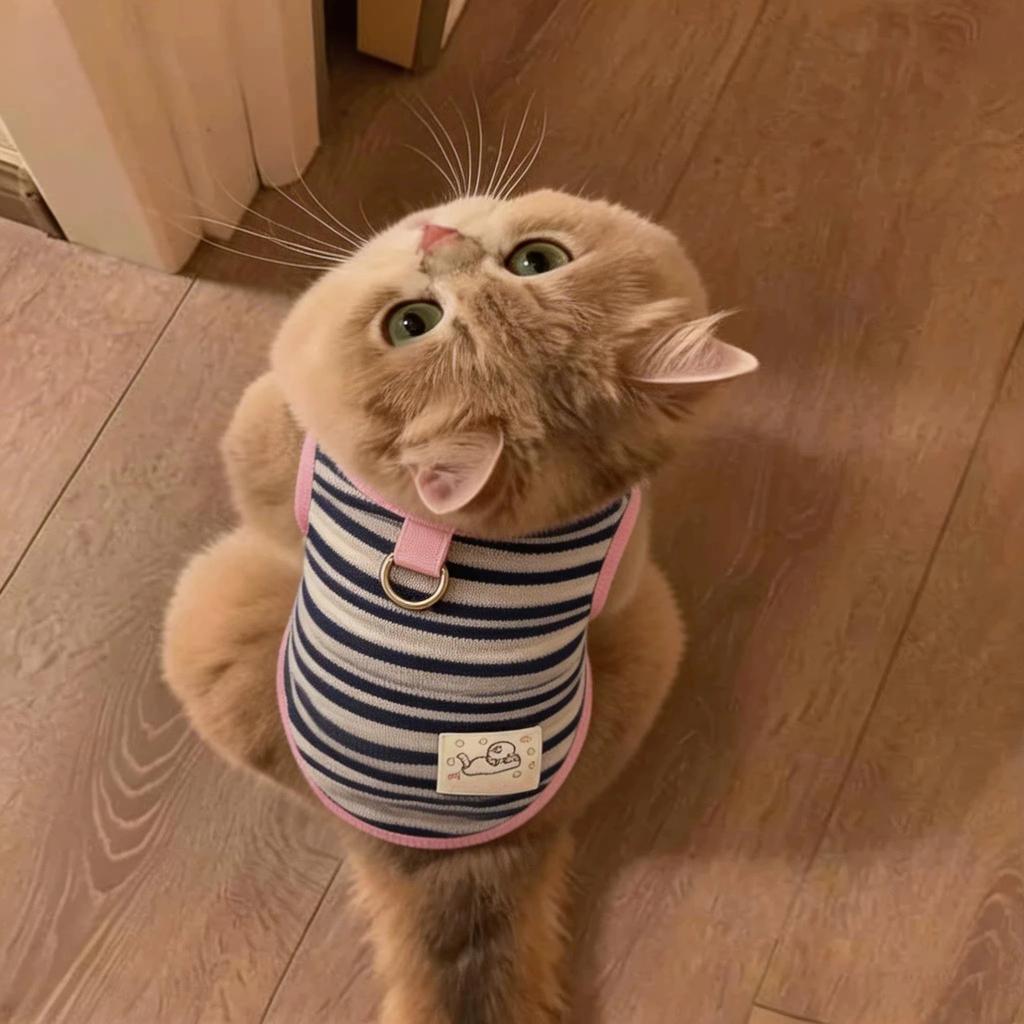 Striped Dog Vest with D-ring, Cute Embroidery Sleeveless Pet Shirt for Small Dogs