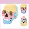 Realistic 4d Skull Model Dissectible Specimen Head Bone Model Artistic