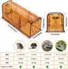 Small Mouse Mouse Expandable Easy To Set Clear Color for Easy Capture Trap, Step-Type Trap, Repellent, Size, Up, Reusable, (Brown, 4-Pack)