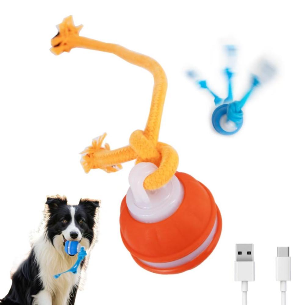 Vivid Bird Calls Teasing Dog Ball Motion Activated Automatic Rolling Ball