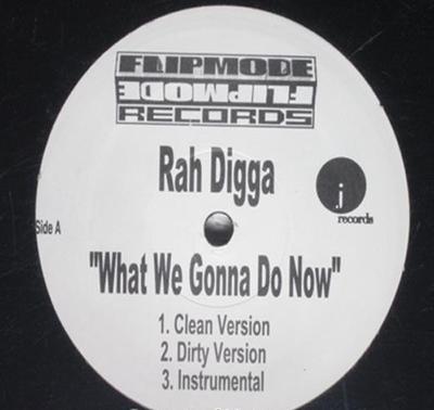 12inch Record RAH DIGGA - What We Gonna Do Now NONE J Records 2001 US Rap & Hip-Hop/R&B Used