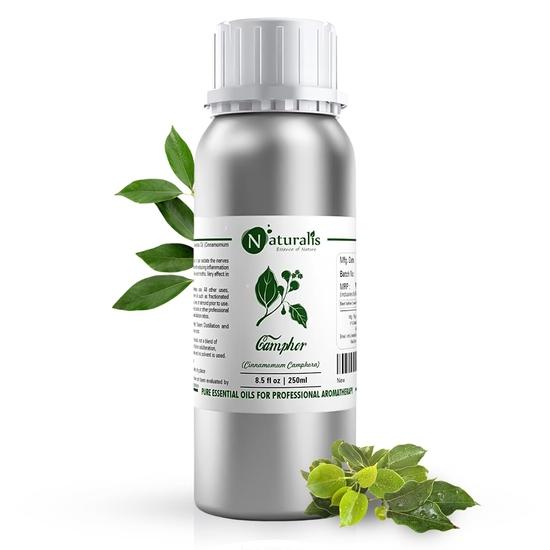 Naturalis Camphor Oil - Pure and Natural Steam Distilled Camphor Essential Oil for Skin, Hair and Aromatherapy - Camphor Mosquito Repellent - 250ml 250ML