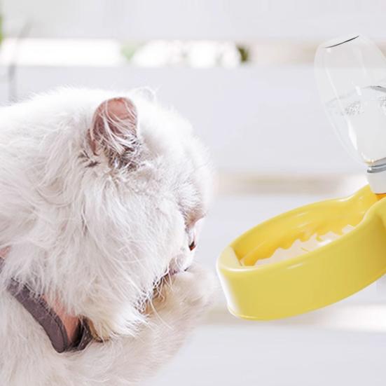 Bottiglia d'acqua per animali domestici da 350ML/500ML Alimentatore portatile per cani a prova di perdite con ciotola per viaggi, escursioni, campeggio