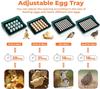 25 Egg Digital Incubator Fully Automatic Hatching Machine Automatic Water Supply
