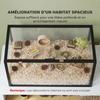 Hamster Cage Habitat Transparent Rodents 360° Panoramic View Anti-Bite 105x51x51cm Black