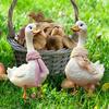 2 Pcs Duck Garden Stakes 2D Cartoon Duck Sign