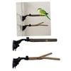 New Parrot Perch Birdcage Accessories Perches Stand Wood Perch Suction Cup Bird Toy