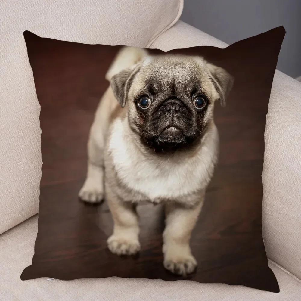VIKAMA Nordic-Style Adorable Dog Cushion Cover Pug Print Cushion Cover Bedroom Living Room Sofa Decorative Cushion Cover