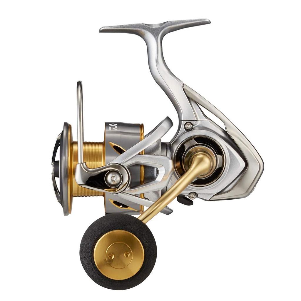 Daiwa 21 Freems LT5000-CXH