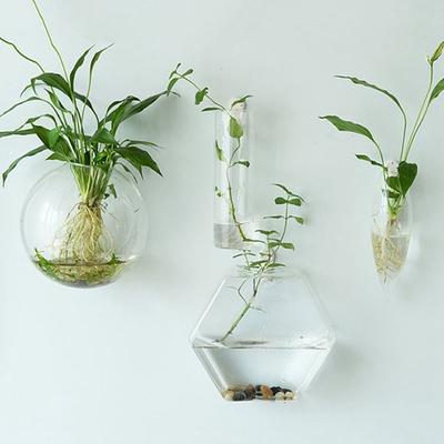 Hydroponic Plants Home Decorations Fish Tank Purify House Wall-mounted Hydroponic Vase Flower Vase Plant Container Flower Pot