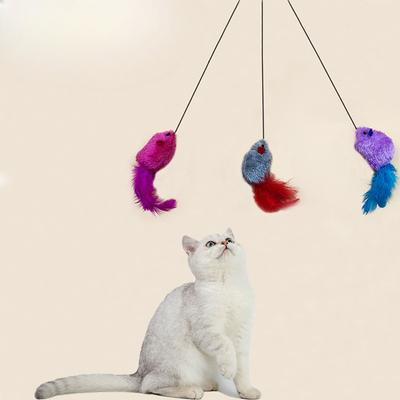Gatti – Giocattoli per gatti