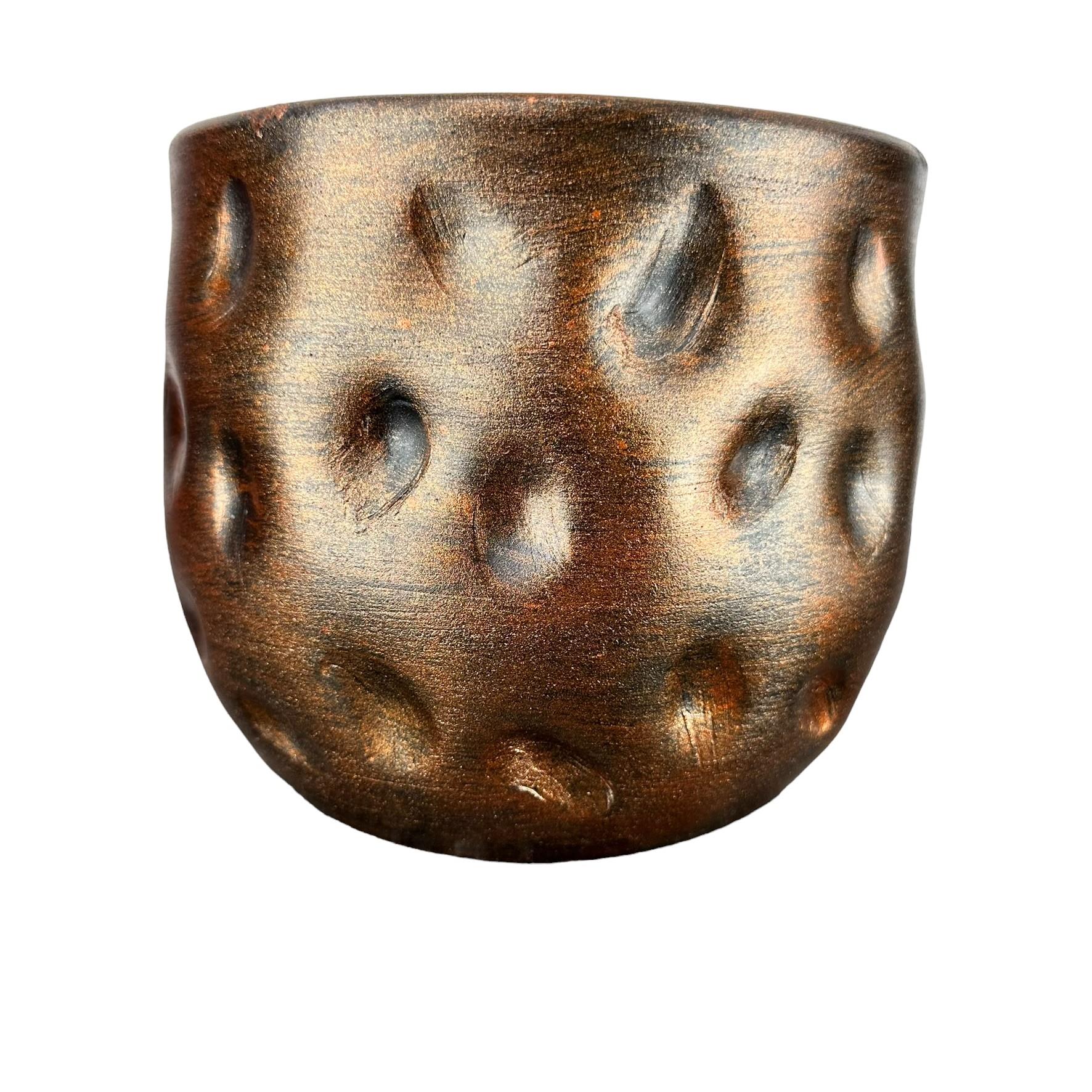 

Bitki Tasarımı Bakır Desenli Toprak Saksı Saksılık Salon Çiçeklik - 19 CM